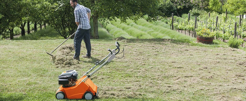 Pielęgnacja trawnika po zimie – sprawdzone zasady pięknego i zadbanego ogrodu