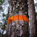 Farba do znakowania drzew Soppec FOREST MARKER pomarańczowa 12 szt.