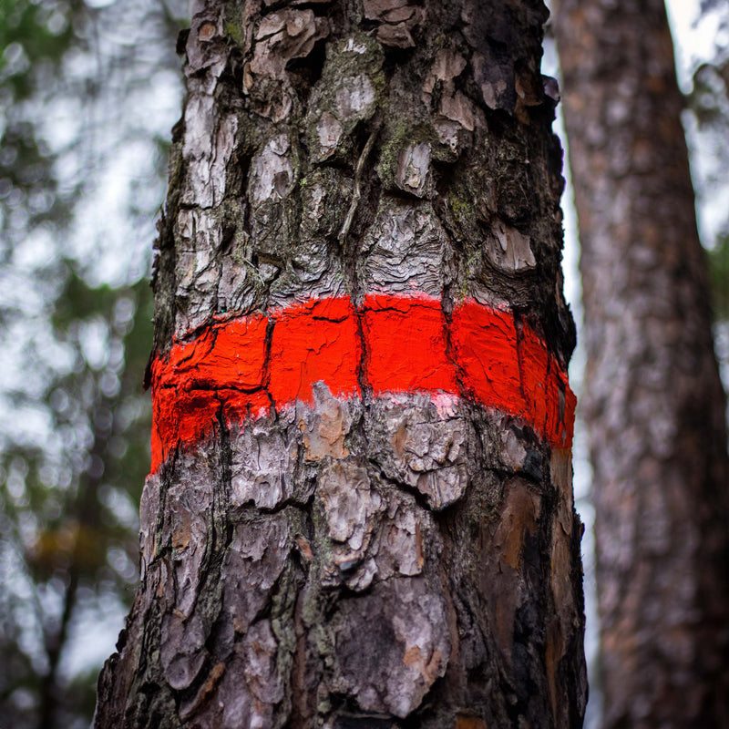 Farba do znakowania drzew Soppec FOREST MARKER czerwona