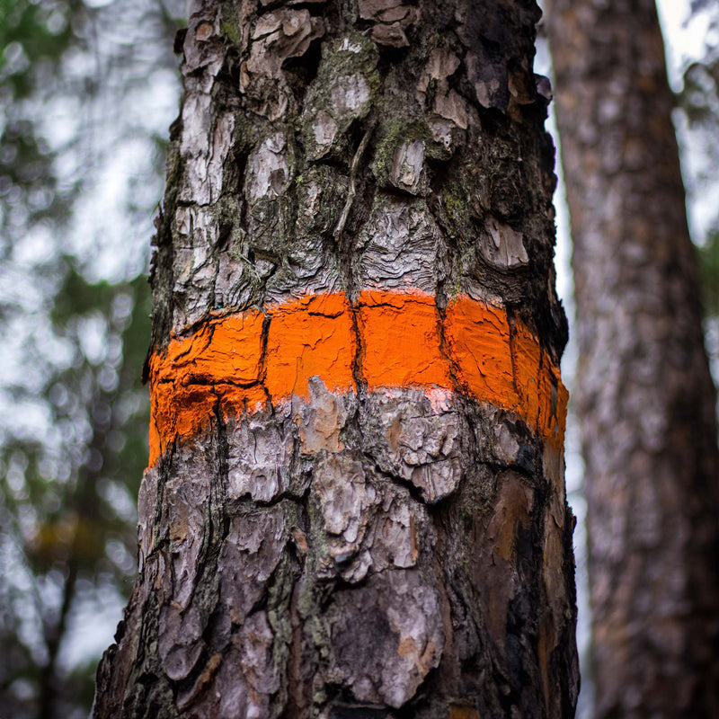 Farba do znakowania drzew Soppec FOREST MARKER pomarańczowa