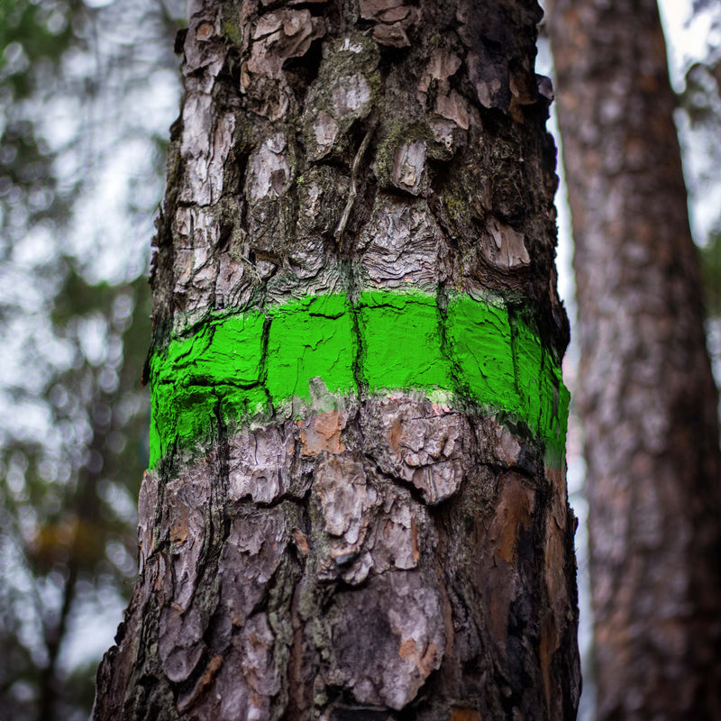 Farba do znakowania drzew Soppec FOREST MARKER zielona