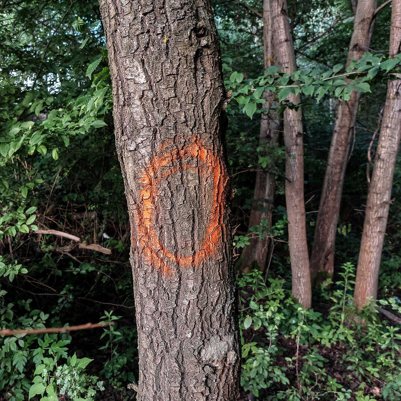 Farba do znakowania drzew Soppec FOREST FLUO MARKER pomarańczowa