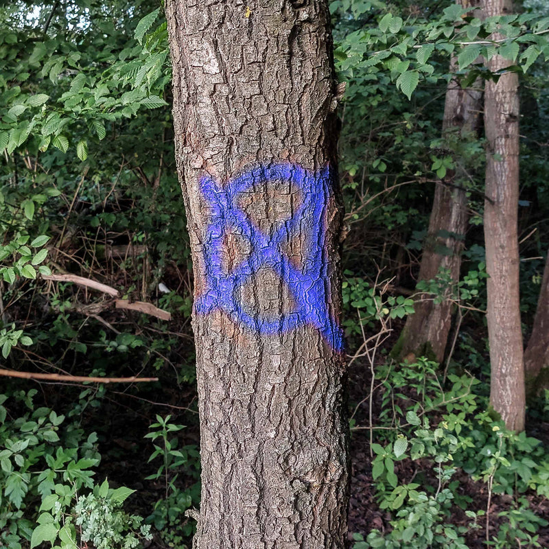 Farba do znakowania drzew Soppec FOREST MARKER niebieska