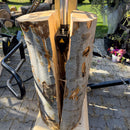 Łuparka do drewna MEYER M30TN 400V + WOM