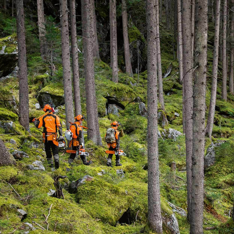 Pilarka spalinowa Stihl MS 241 C-M