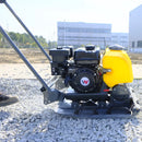 Zagęszczarka jednokierunkowa Wacker Neuson BPS 1550 Gw-c